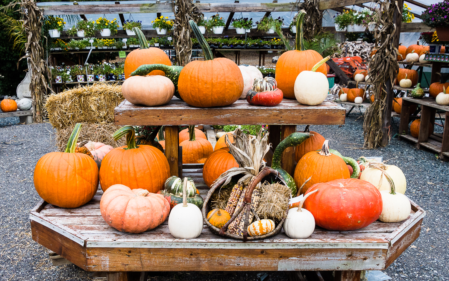 Lin and Michael's Photos