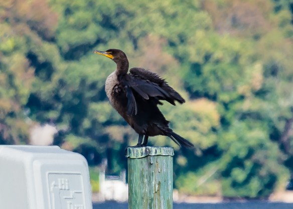 Lin and Michael's Photos