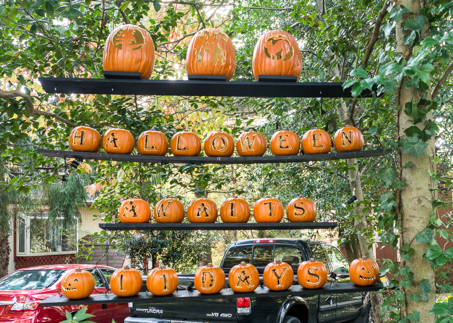 Lin and Michael's Photos