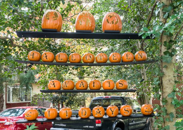 Lin and Michael's Photos