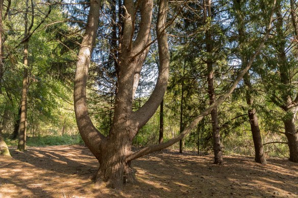 Lin and Michael's Photos