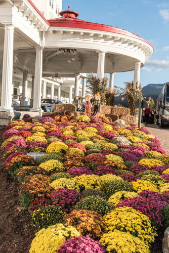 Lin and Michael's Photos