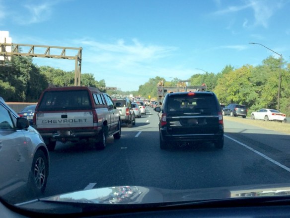 Lin and Michael's Photos