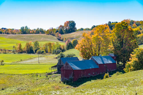 Lin and Michel's Photos