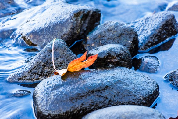 Lin and Michael's Photos