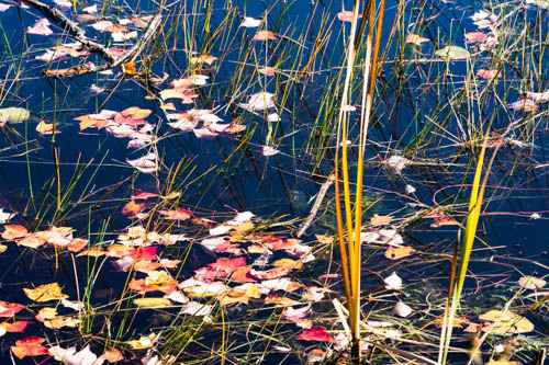 Lin and Michael's Photos