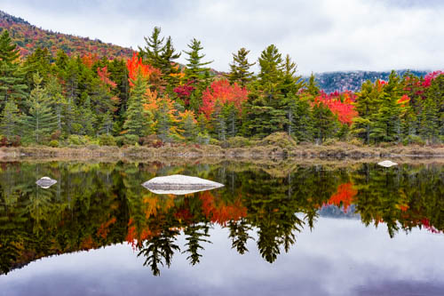 Lin and Michael's Photos