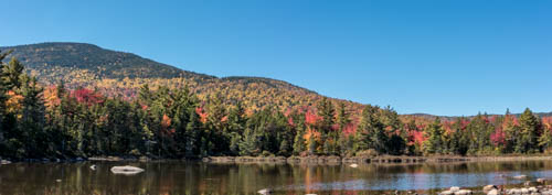 Lin and Michael's Photos