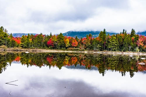 Lin and Michael's Photos