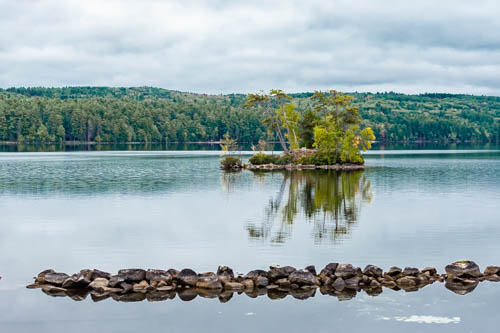 Lin and Michael's Photos