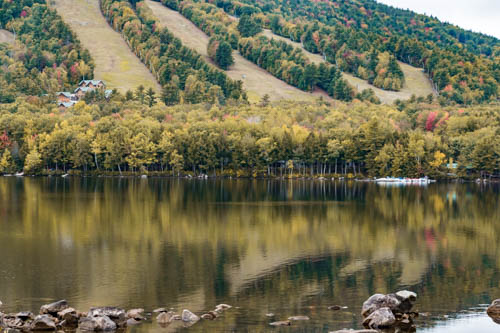 Lin and Michael's Photos