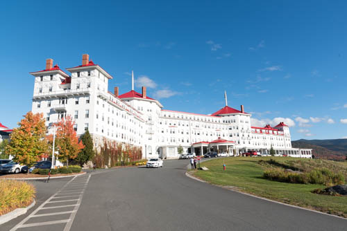 Lin and Michael's Photos