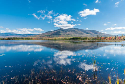 Lin and Michael's Photos