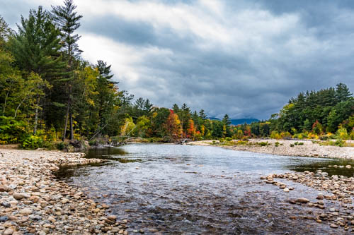 Lin and Michael's Photos