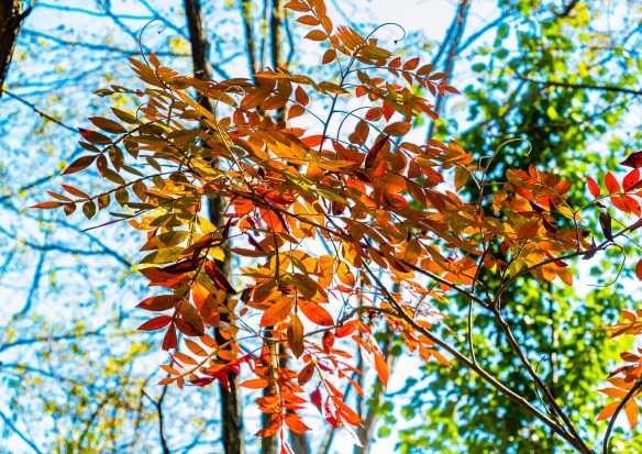 Lin and Michael's Photos