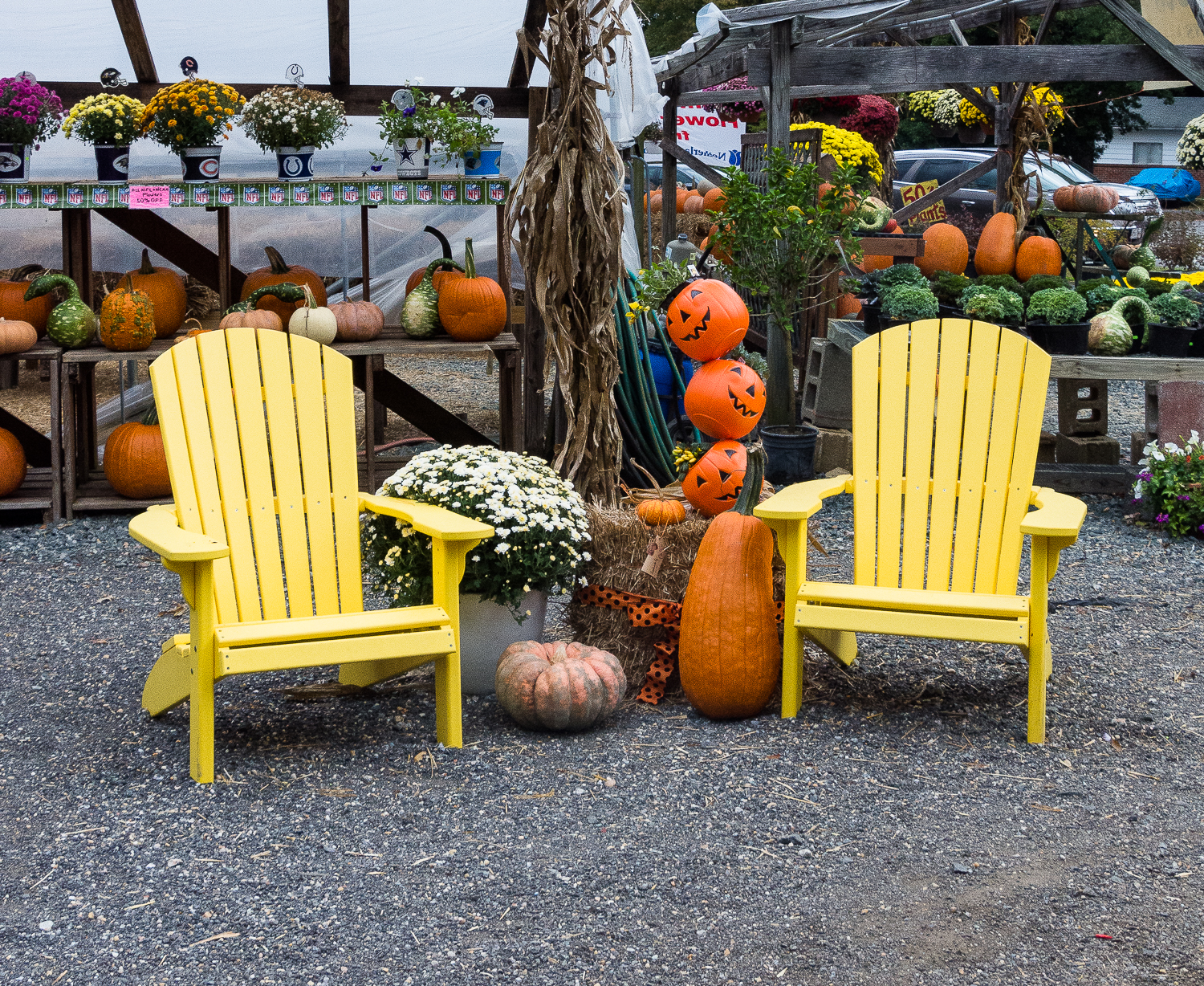 Lin and Michael's Photos