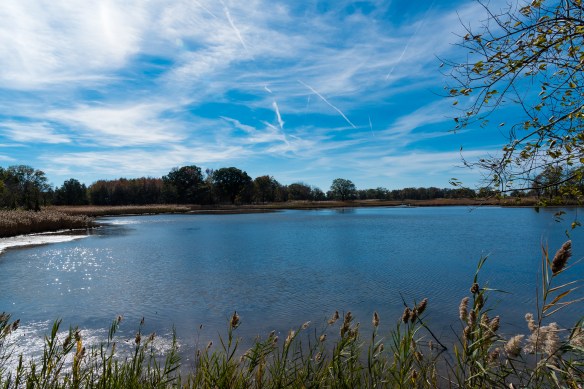 Lin and Michael's Photos