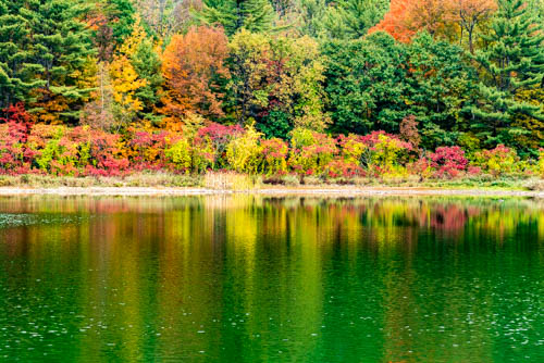 Lin and Michael's Photos