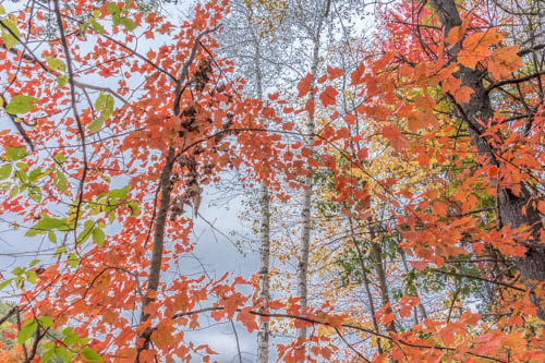 Lin and Michael's Photos