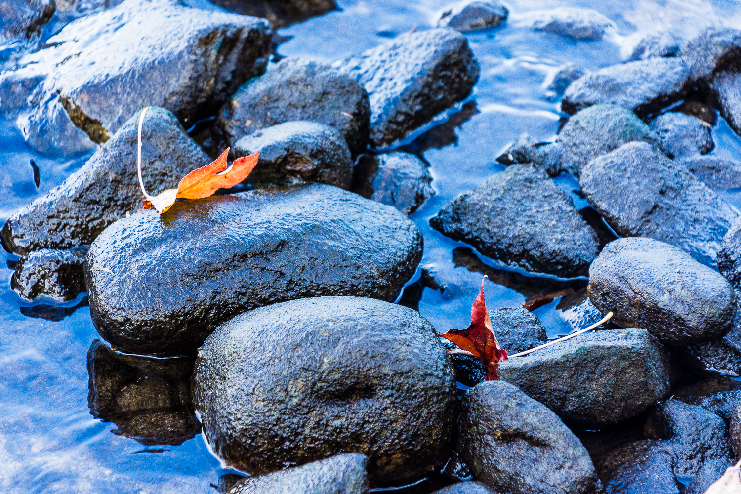 Lin and Michael's Photos