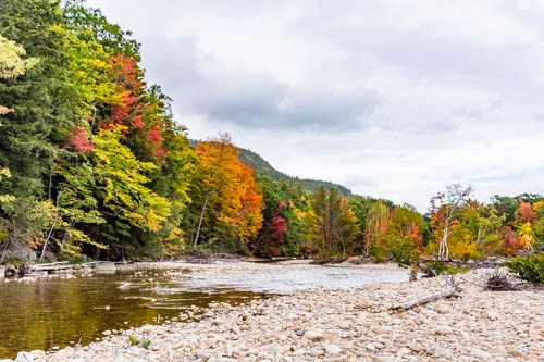 Lin and Michael's Photos