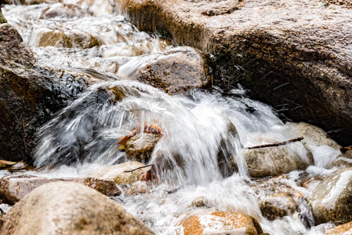 Lin and Michael's Photos