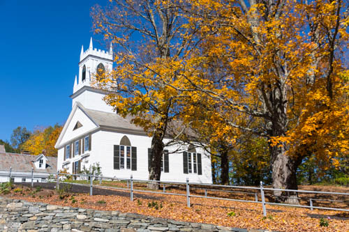 Lin and Michael's Photos