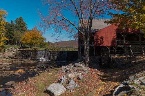 Lin and Michael's Photos