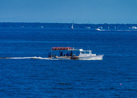 Lin and Michael's Photos