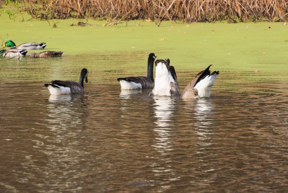 Lin and Michael's  Photos