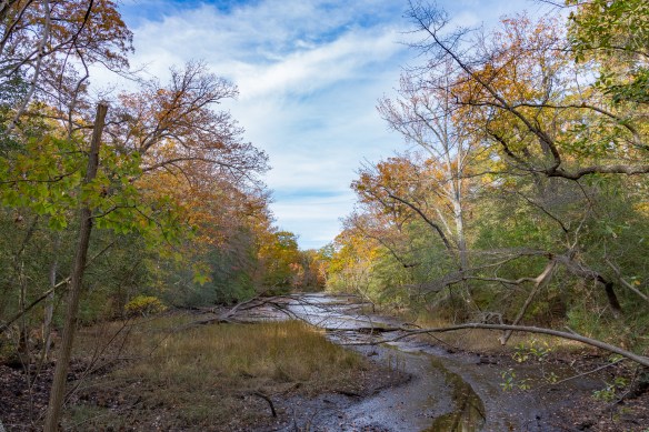 Lin and Michael's Photos