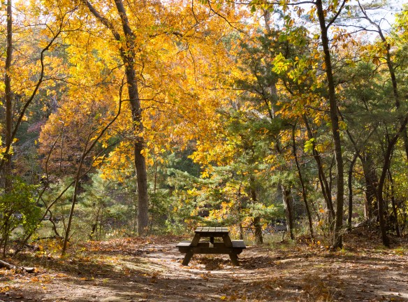 Lin and Michael's Photos