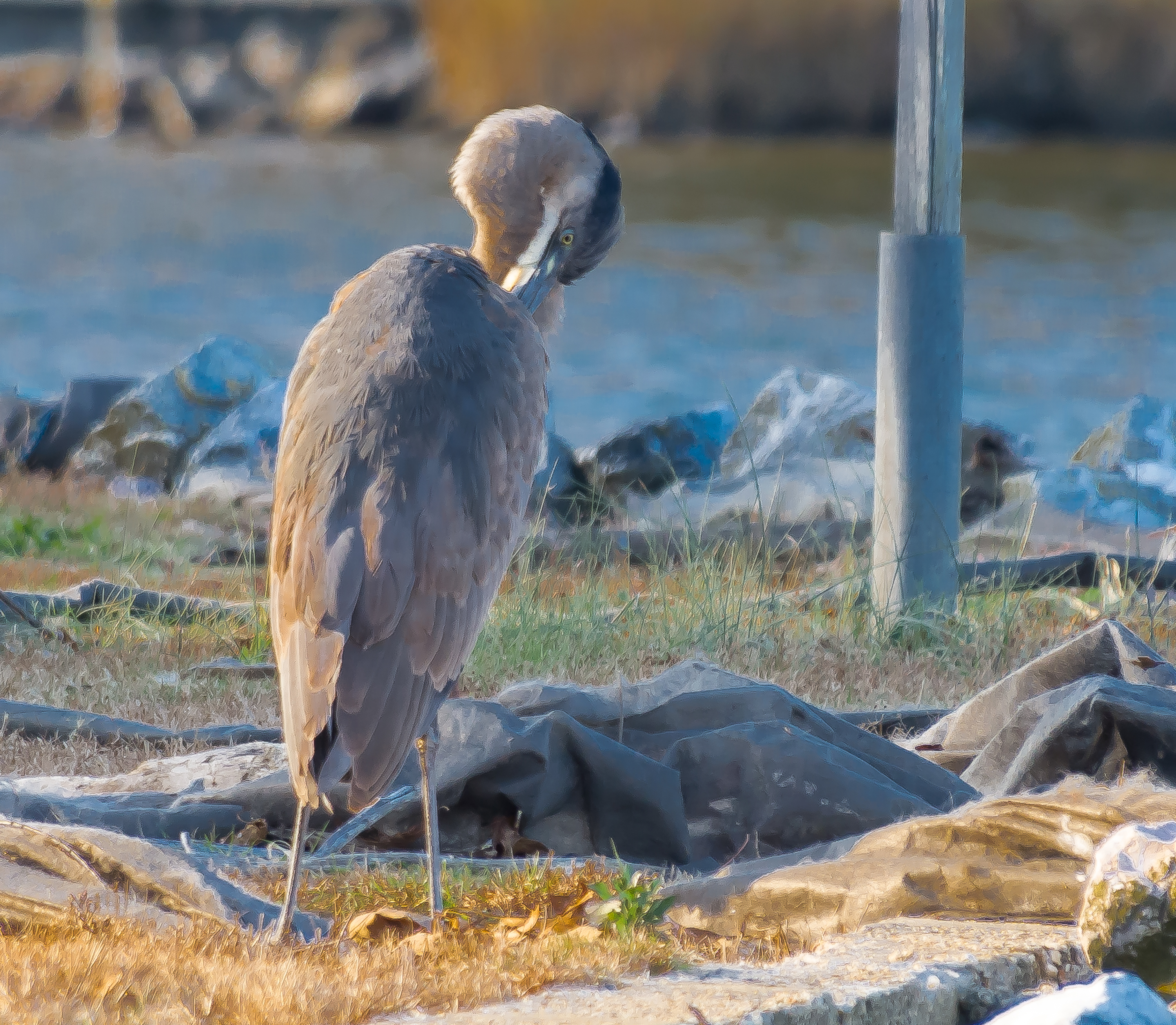 Lin and Michael's Photos