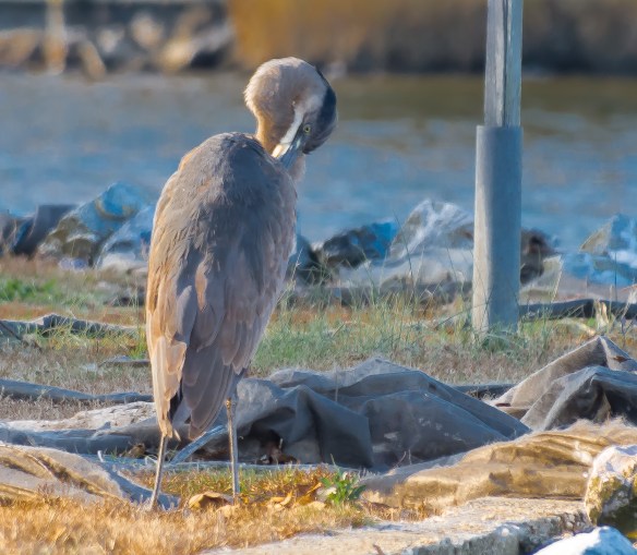 Lin and Michael's Photos