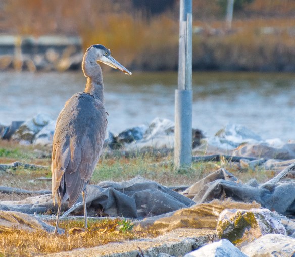 Lin and Michaels Photos