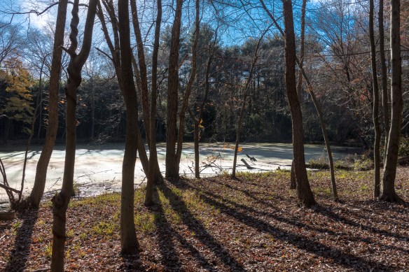 Lin and Michael's Photos