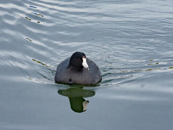 Lin and Michael's Photos