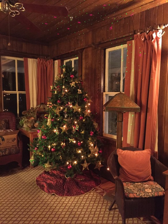 Lin and Michael's Photos