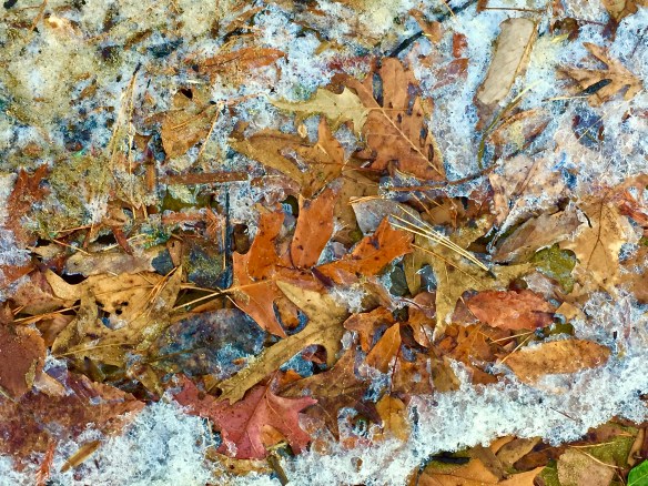 Lin and Michael's Photos