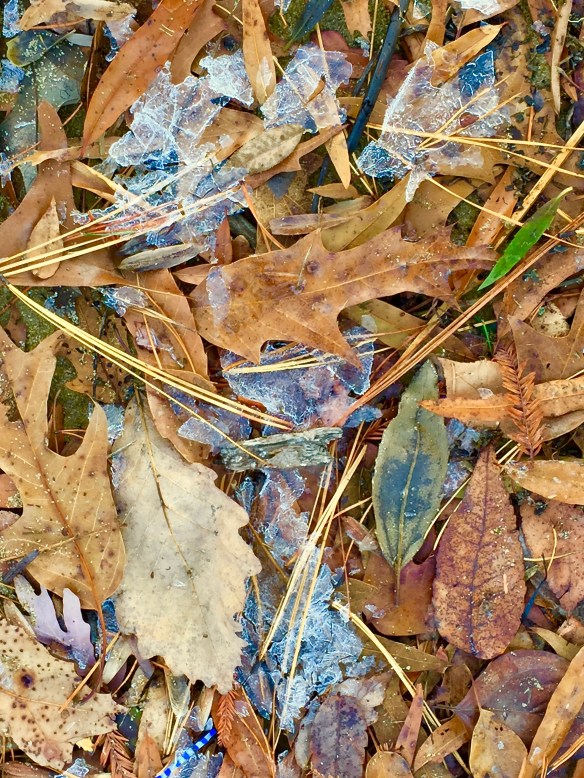 Lin and Michael's Photos