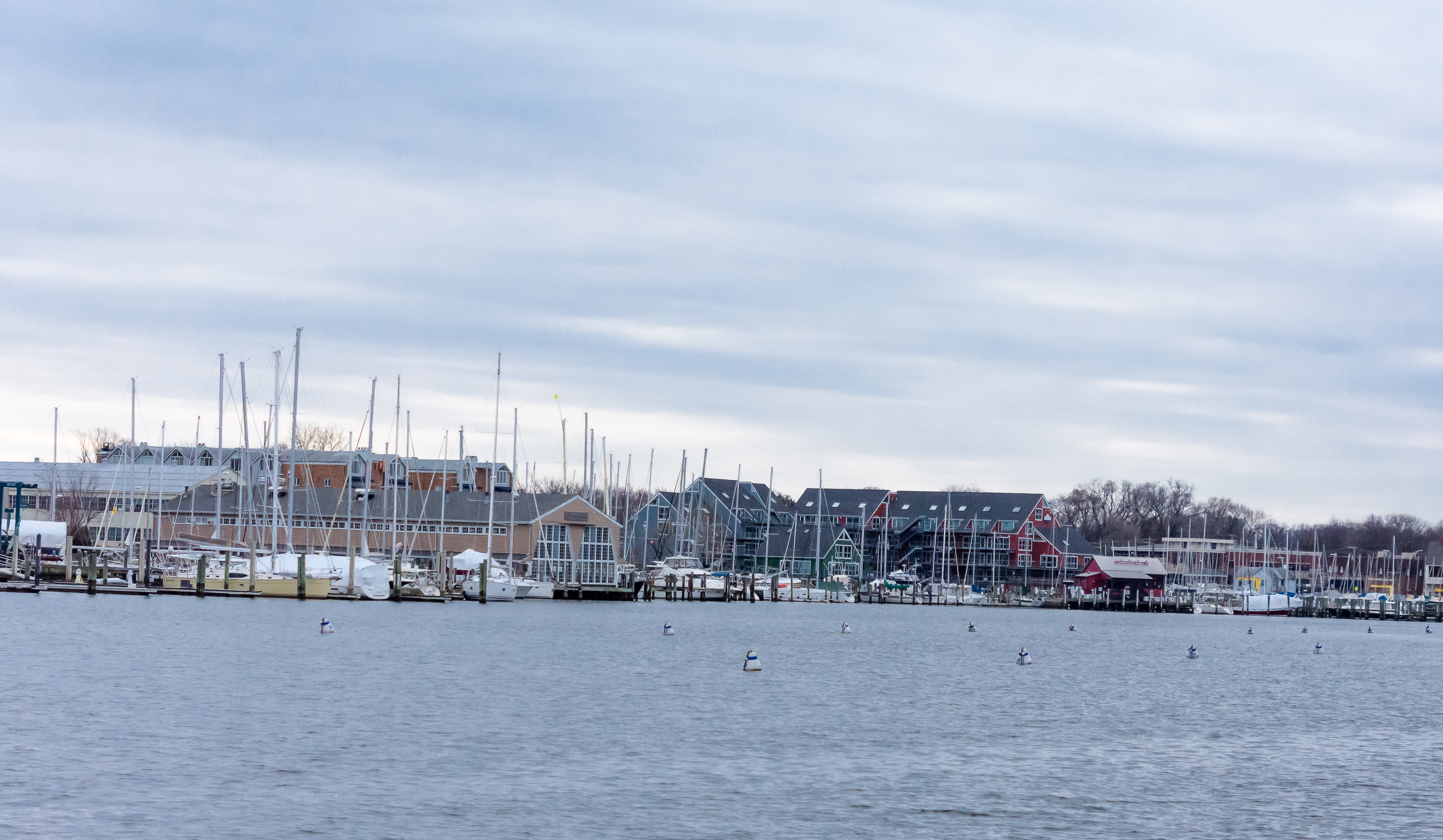 Lin and Michael's Photos