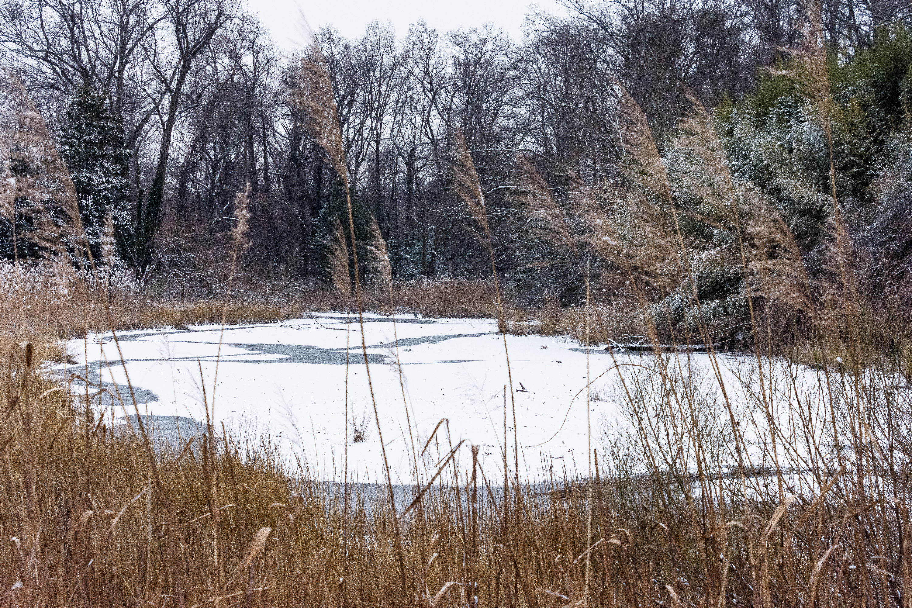 Lin and Michael's Photos