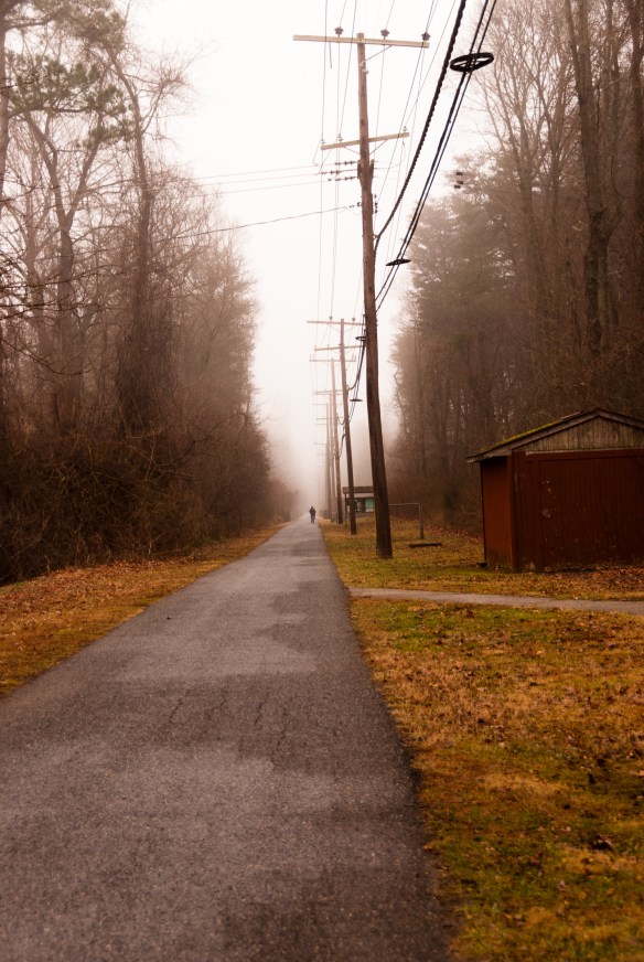 Lin and Michael's Photos