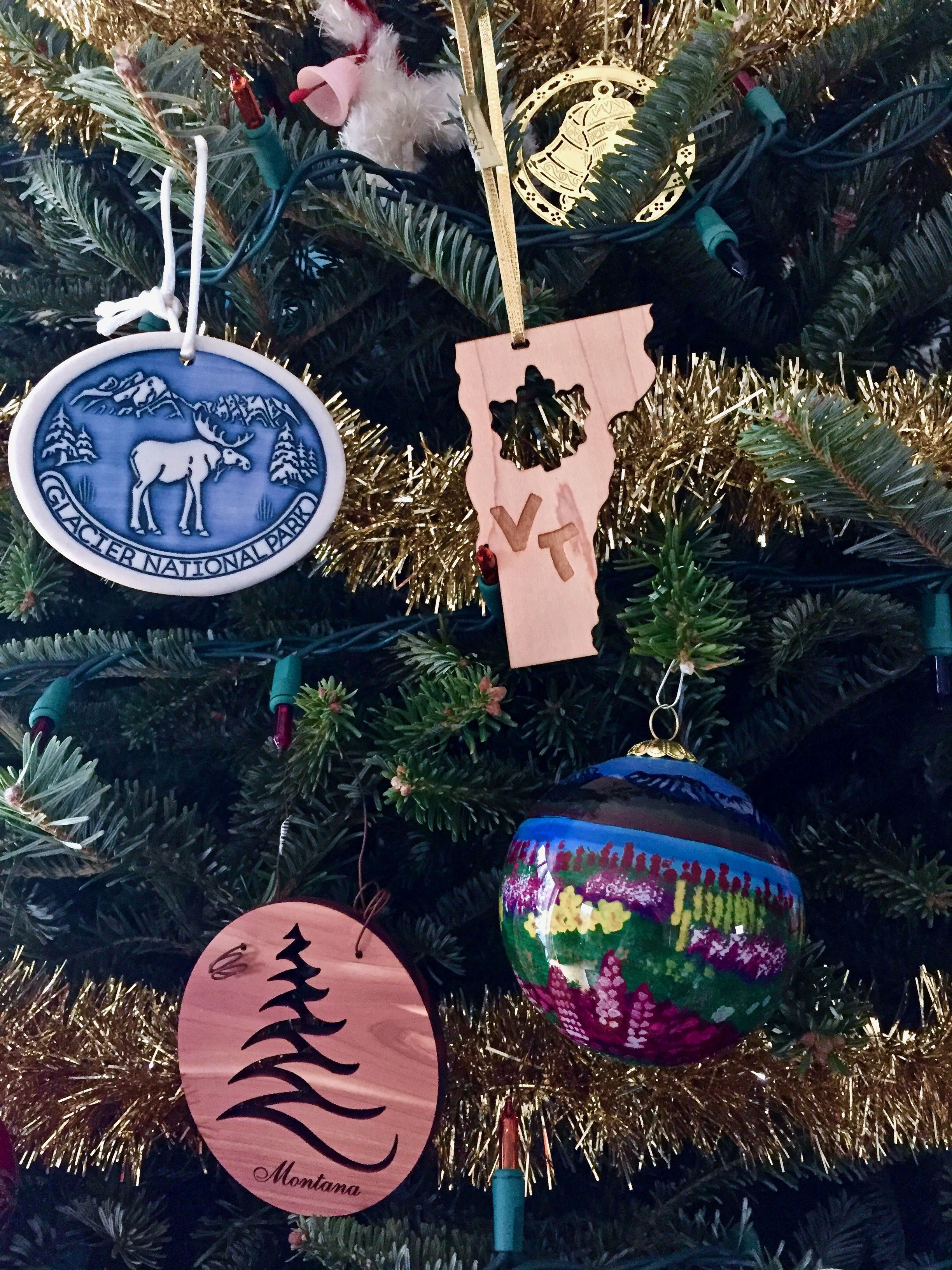 Lin and Michael's Photos