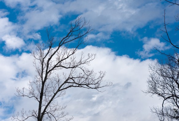 Lin and Michael's Photos