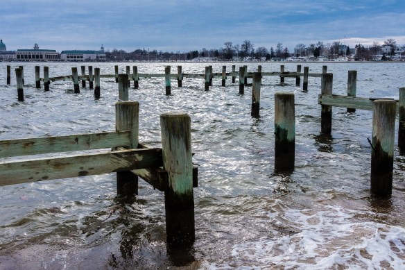 Lin and Michael's Photos