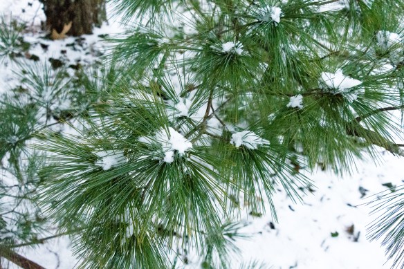 Lin and Michael's Photos