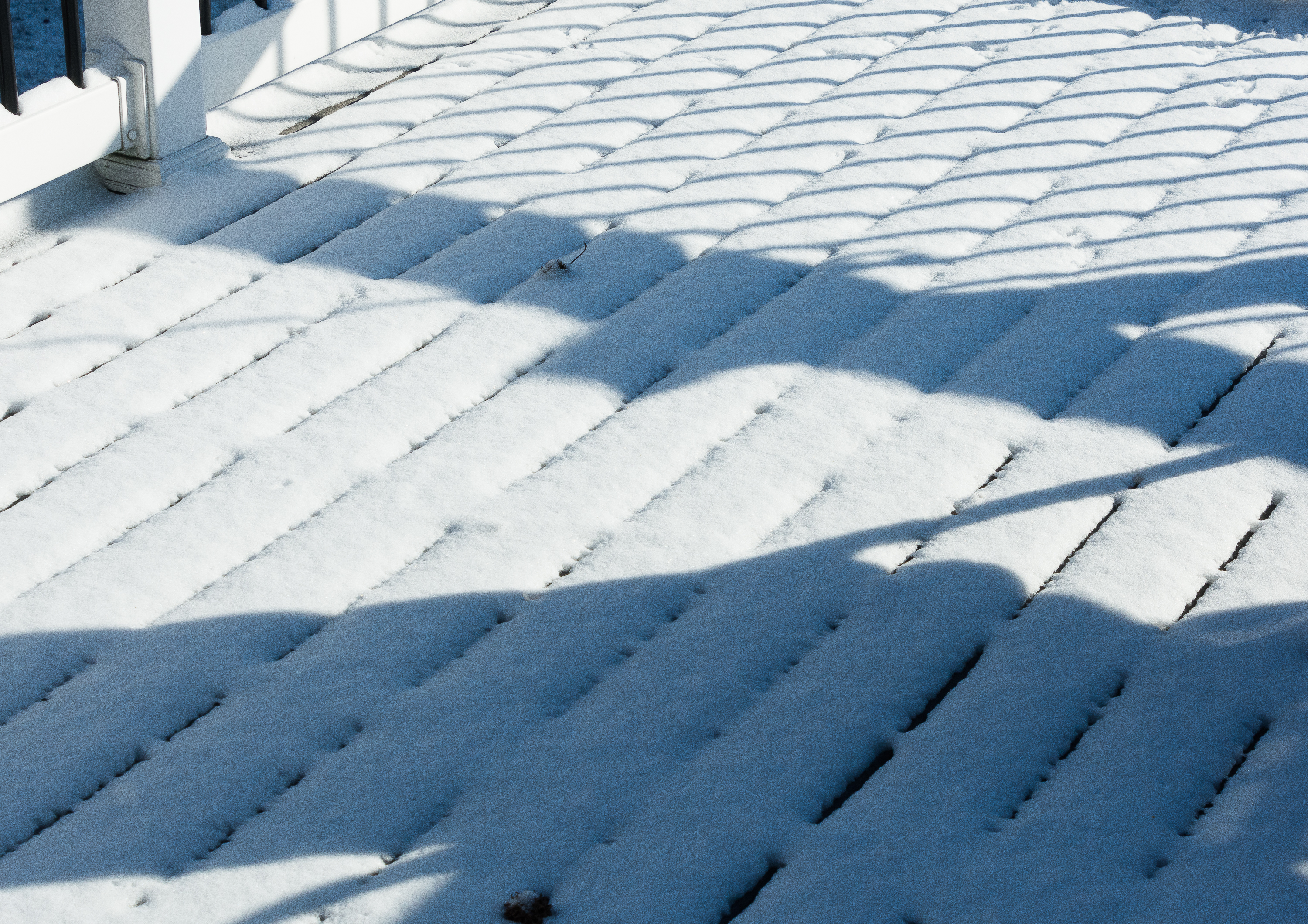 Lin and Michael's Photos