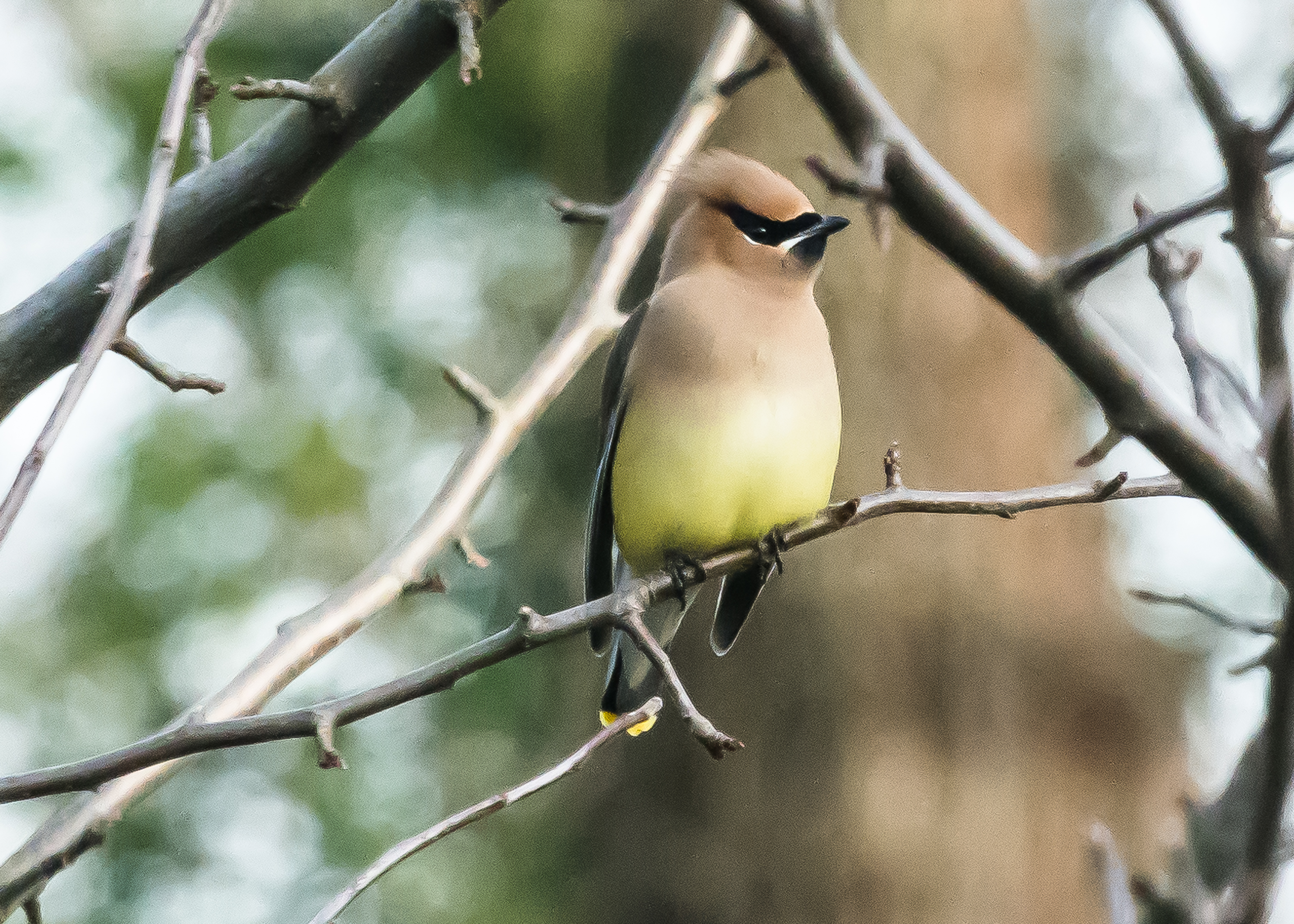 Lin and Michael's Photos