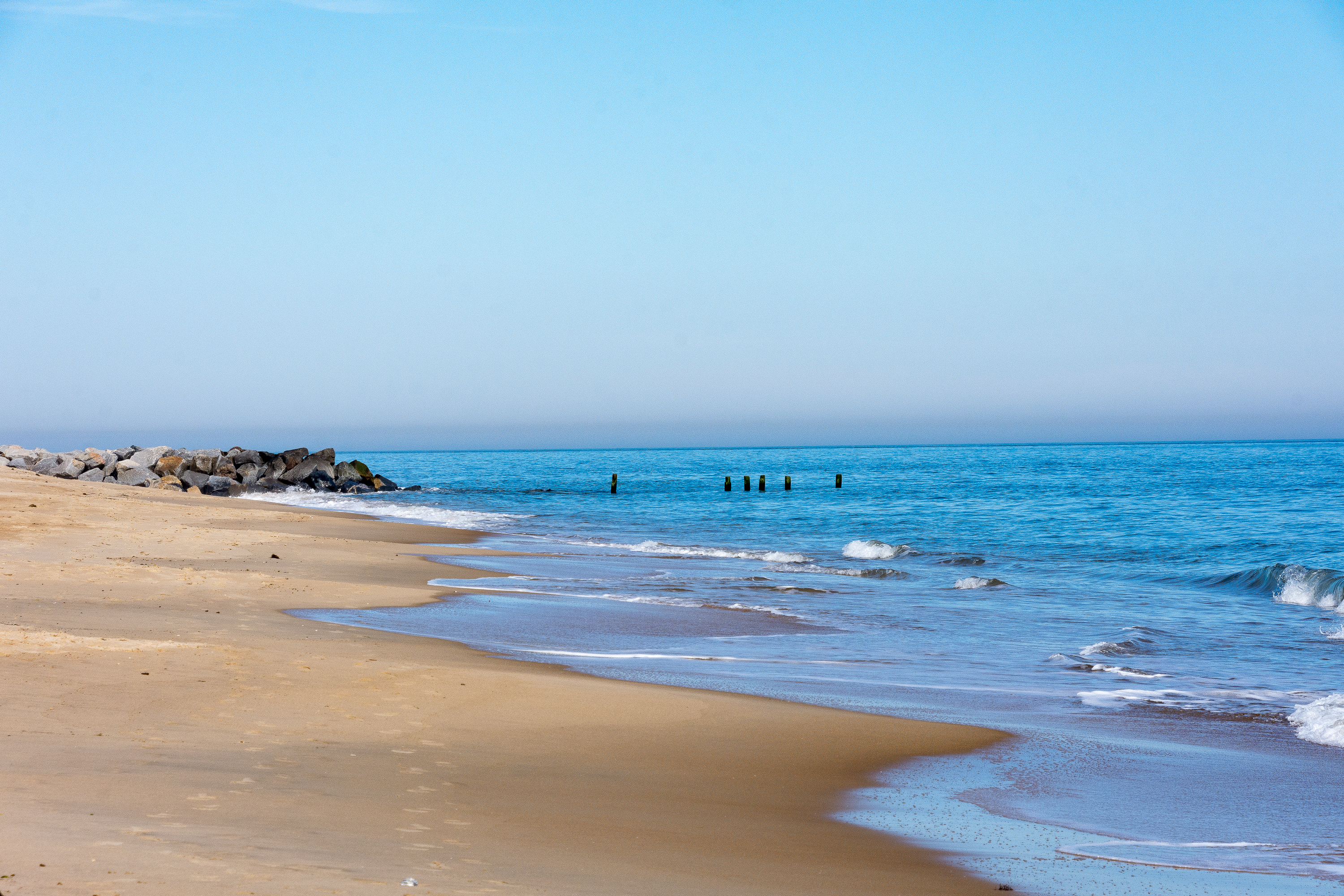 Lin and Michel's Photos